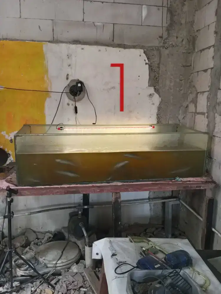 Akuarium ikan ukuran 160 dan 100