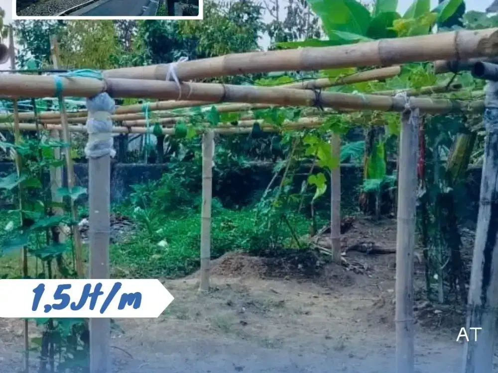 Dijual Tanah Di Kemuning, Ngargoyoso, Karanganyar