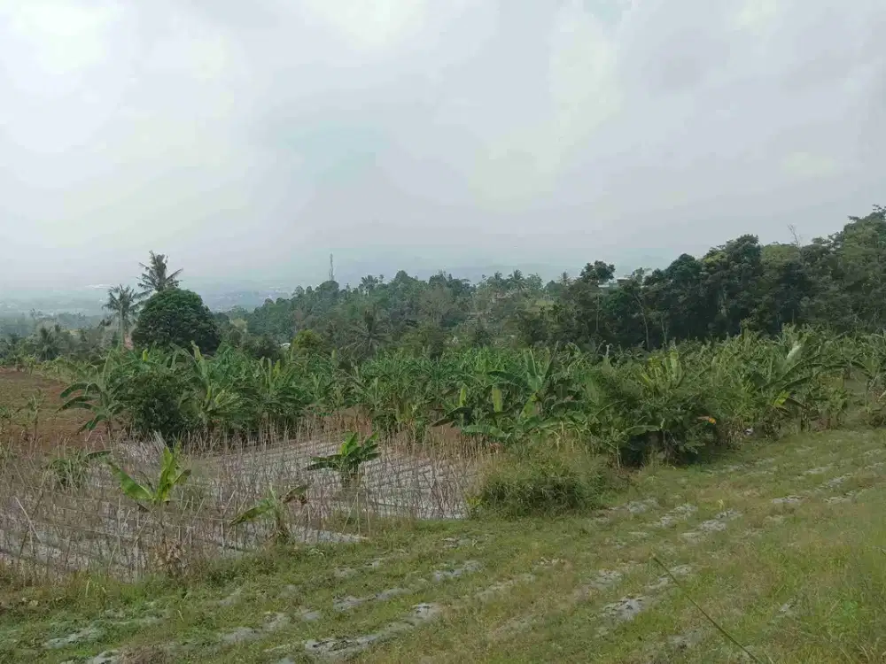 Tanah Murah Rp.285rb/m2 dgn View Gunung indah akses mobil dekat Tol Cigombong-Bogor