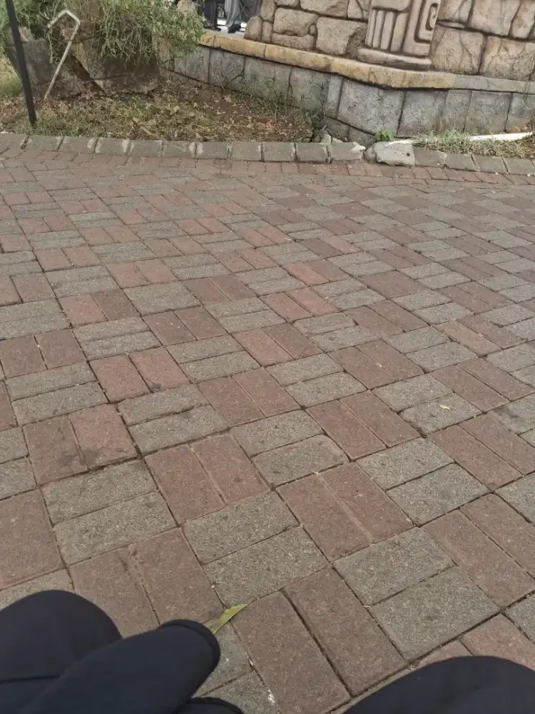 Cari les sepeda motor gigi