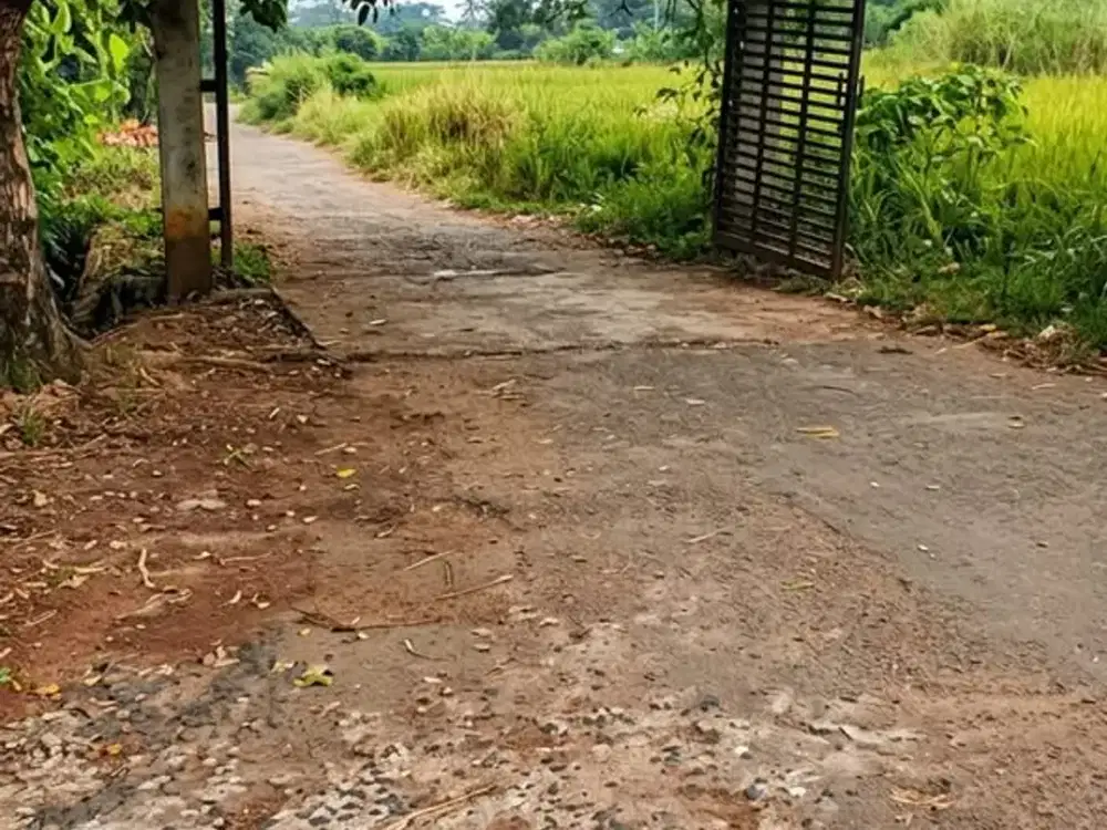 Tanah Luas 50.000 M² di Balaraja Sentiong - Dekat Perumahan Permata Satu & Harmoni