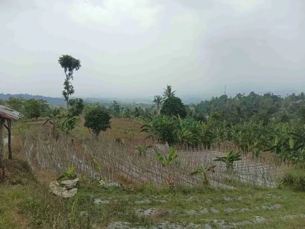 Tanah View gunung indah Rp. 285rb/m2 akses mobil luas 20400m2 dekat tol Cigombong-Bogor