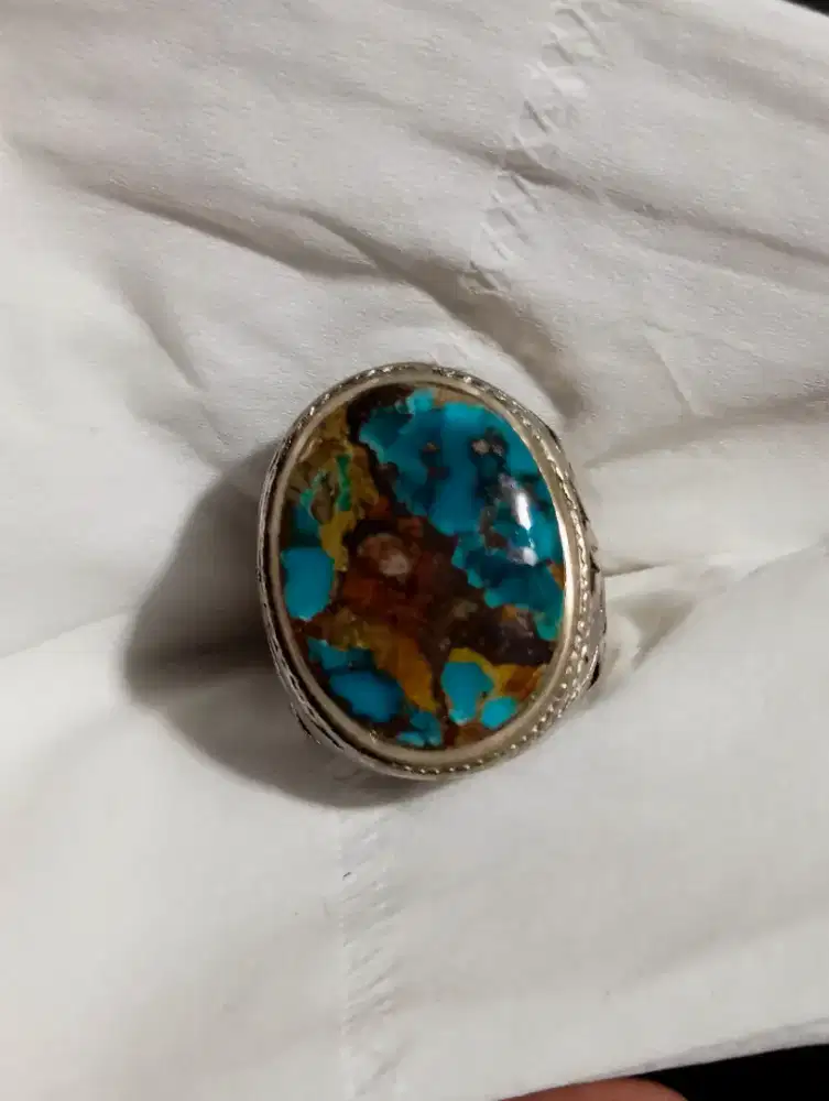 Pirus Persia Biru Fancy