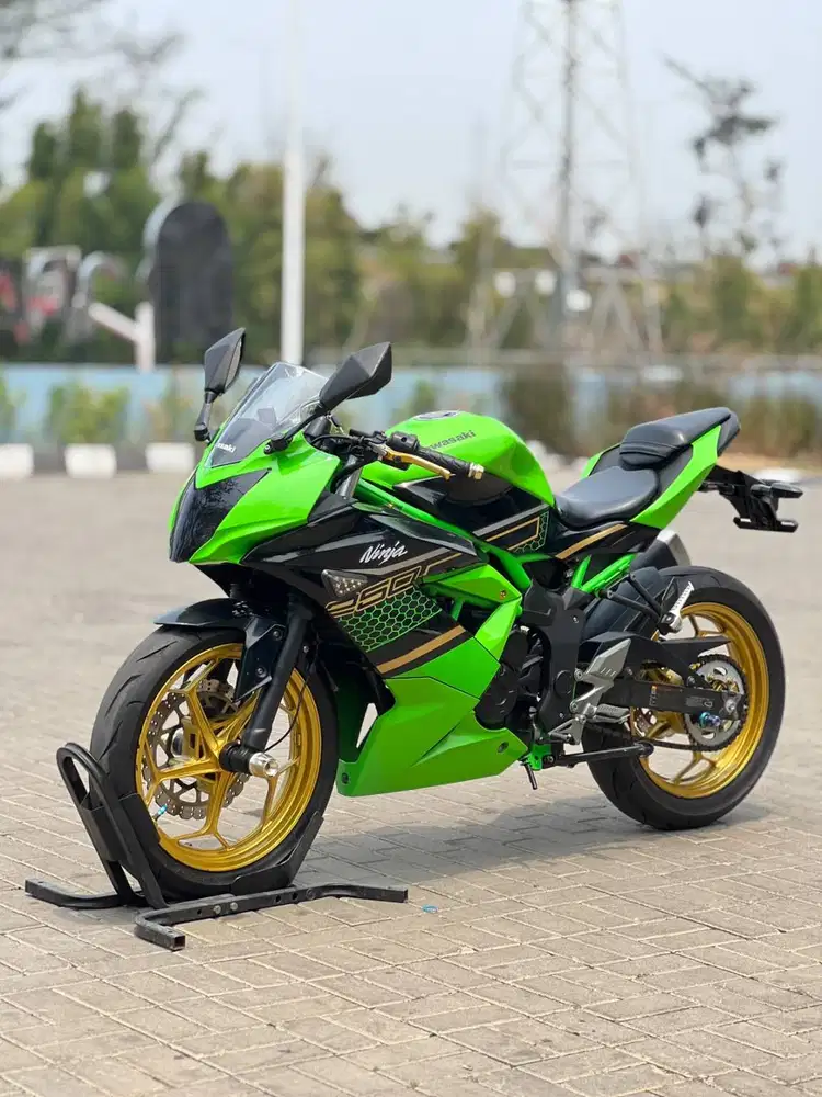 KAWASAKI NINJA 250 MONO SL HIJAU 2019 KRT KM LOW PAJAK PANJANG SUPERB