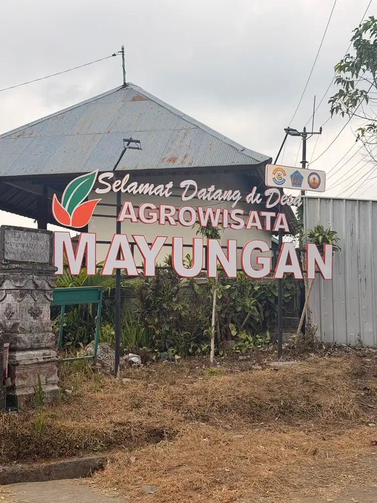 Dijual Tanah Kecil 1 are SHM Murah sekali BUC