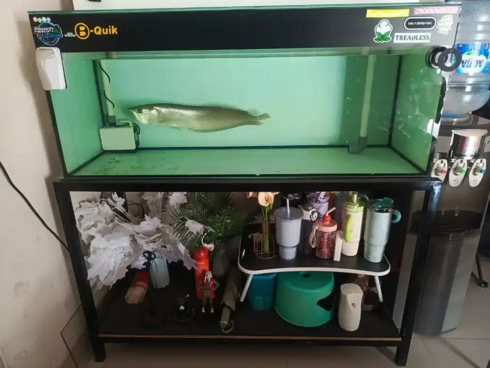 Aquarium ikan uk 120x50x50