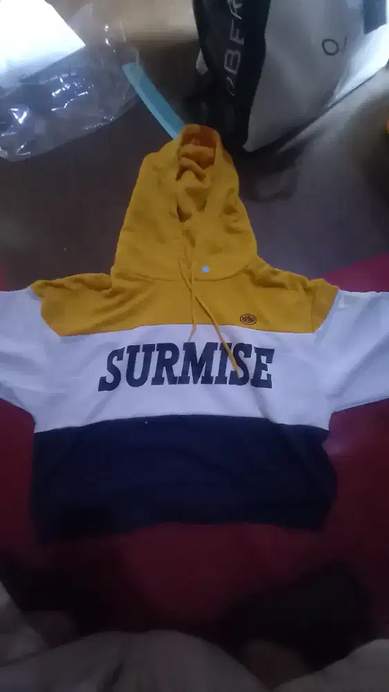 Hoodie Crop Top Wanita