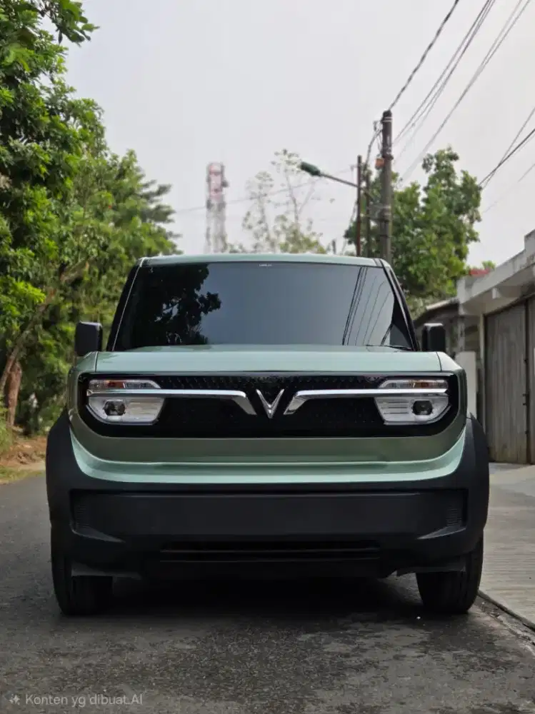 Vinfast VF 3 Include Battery 2025