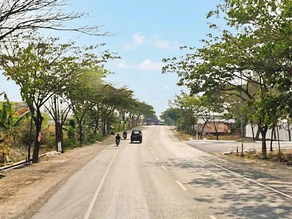 JUAL TANAH REMBANG SIAP PAKAI/BANGUN  PINGGIR JALAN PROVINSI PANTURA