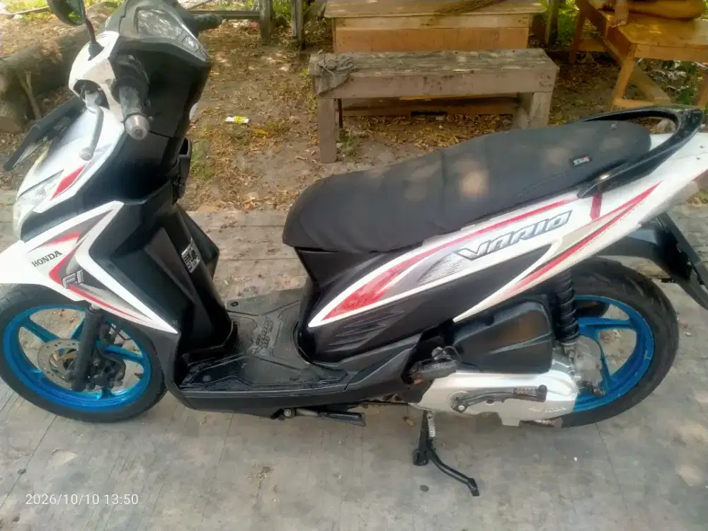 Vario 110 fi ( Agnes) 2015