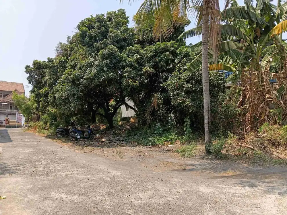 Tanah Luasan Kecil Dalam Kota Singaraja