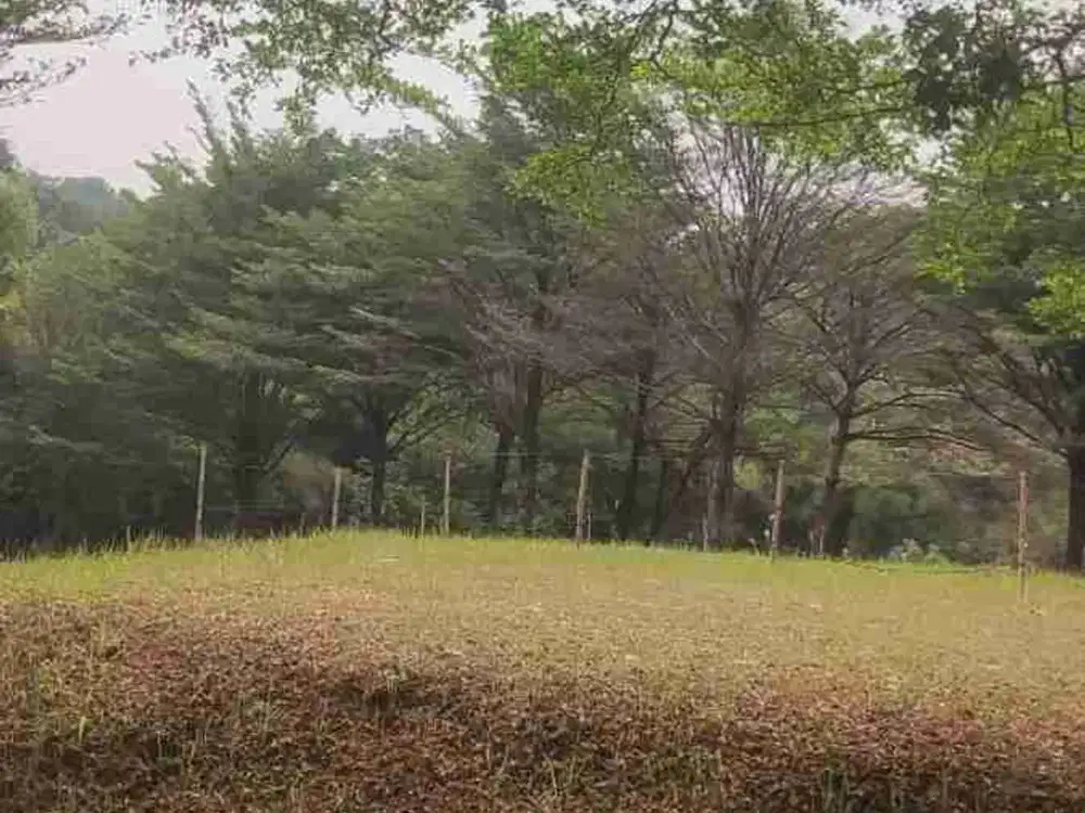 18 Tanah Kavling di Bukit Cinere