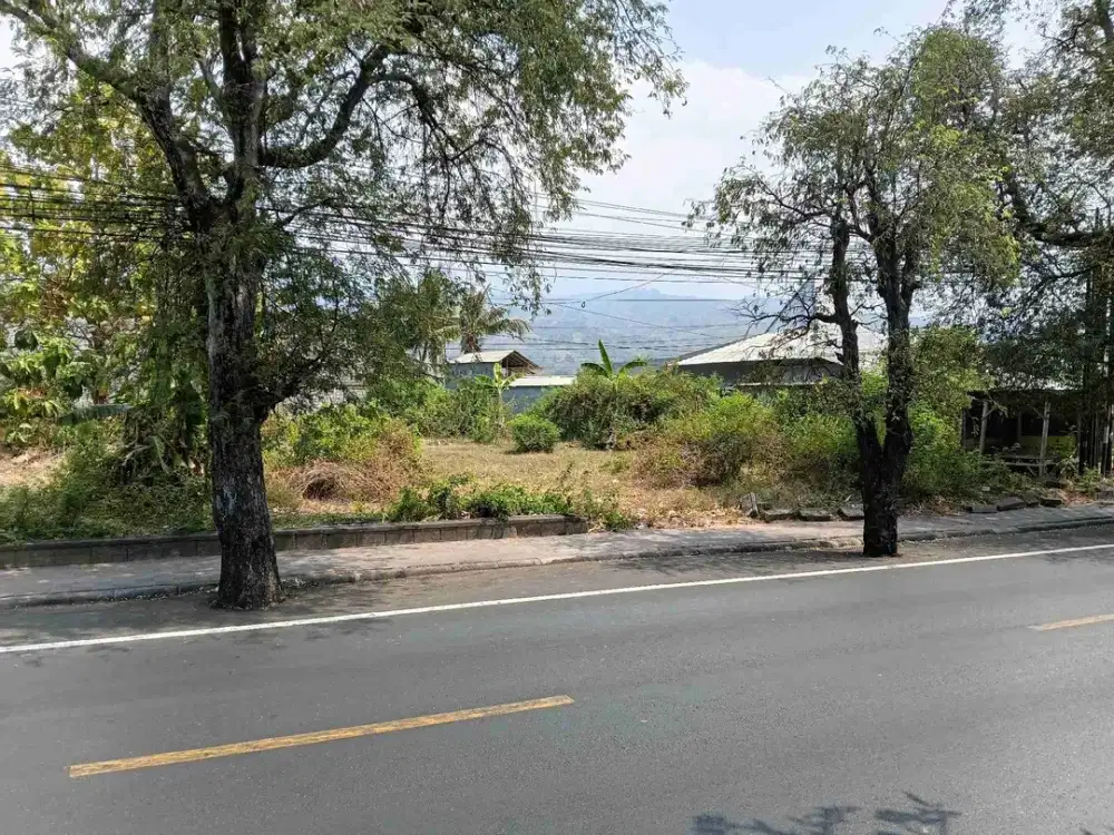Tanah Premium Pinggir Jalan Provinsi Di Central Lovina Singaraja
