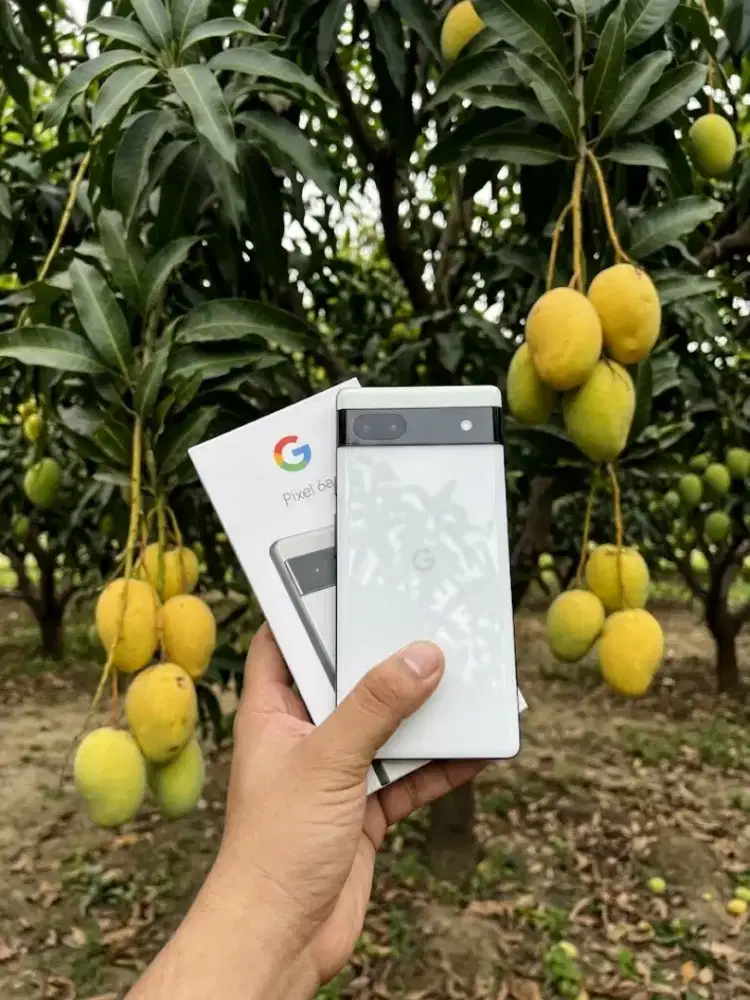 Google Pixel 6A RW Beacukai Garansi Sinyal Siap