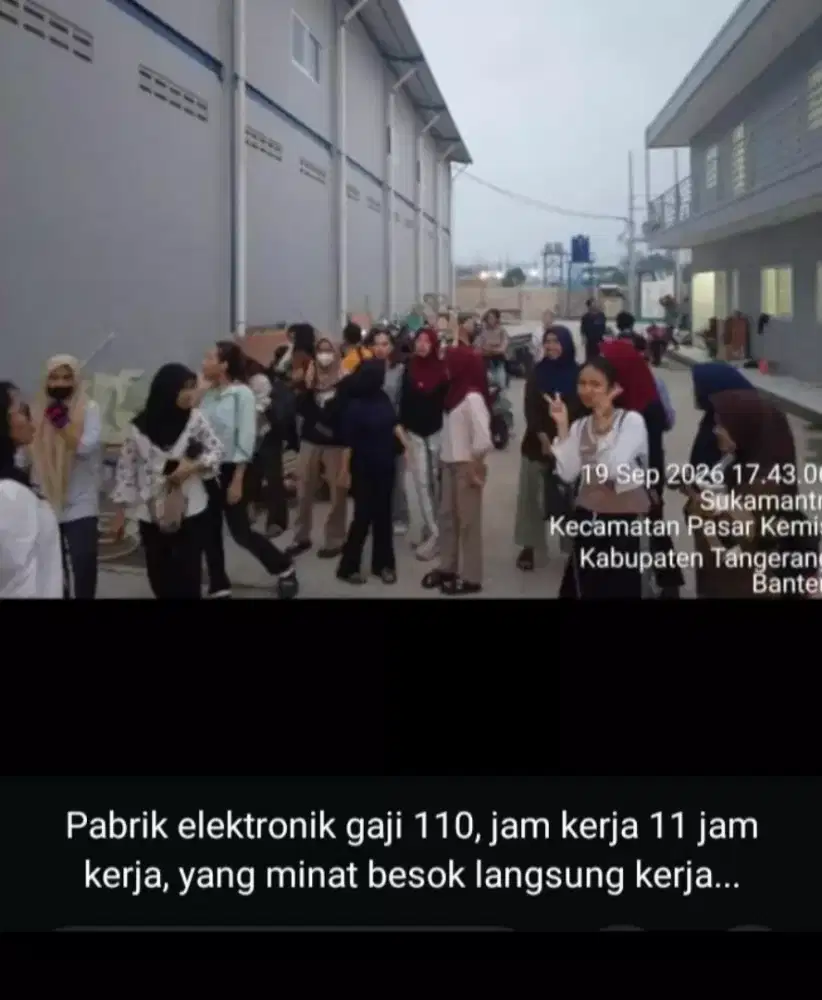 Butuh cw cowo untuk DiPabrik