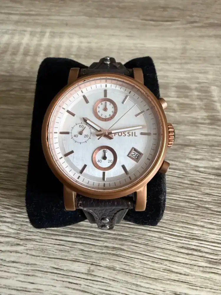 Preloved fossil