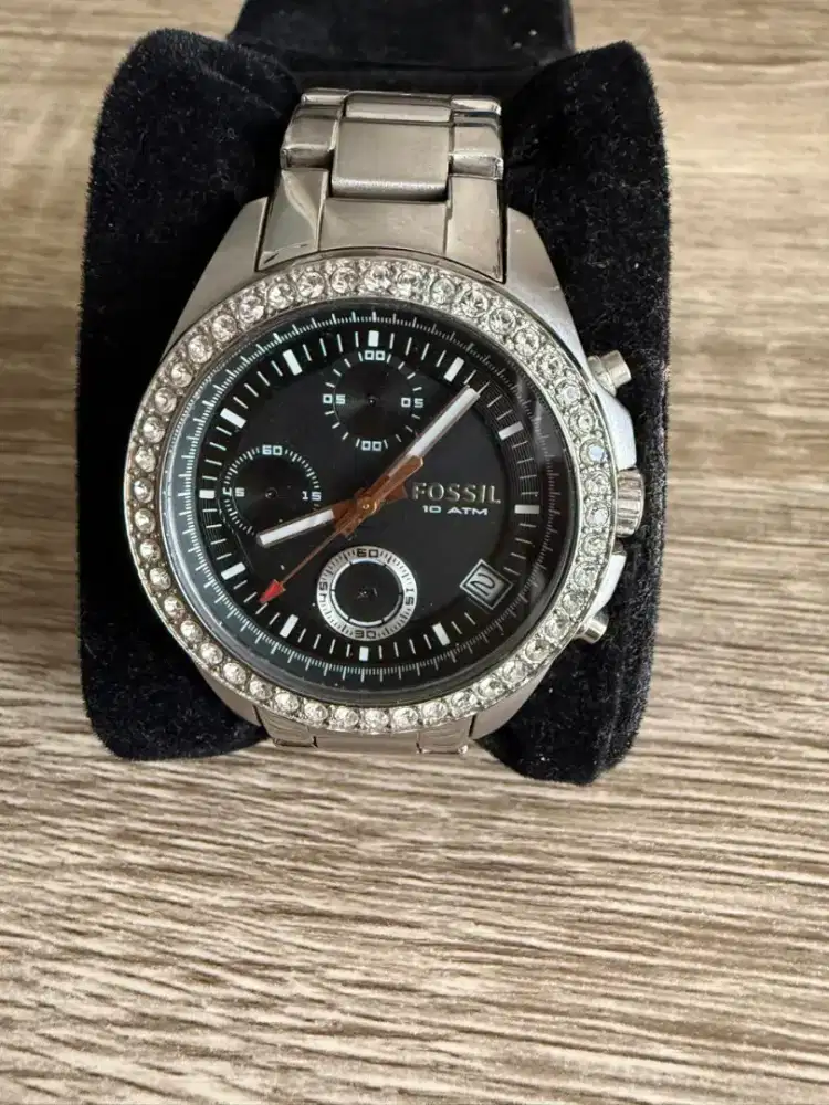 Preloved Fossil