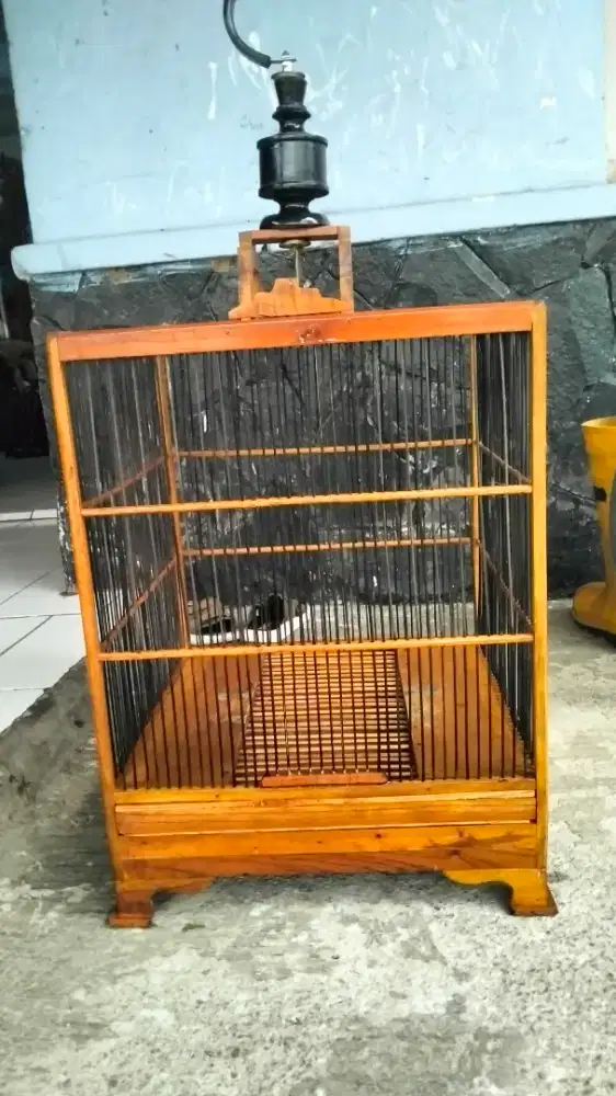 Kandang penjinakan wambi/Poksay Hongkong
