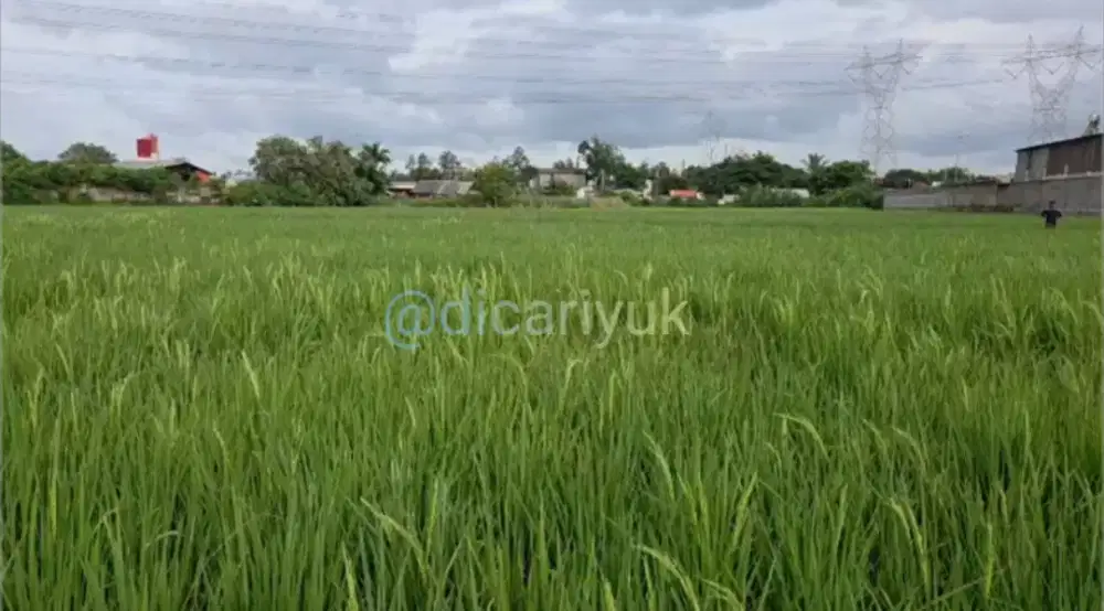 DIJUAL CEPAT TANAH SHM