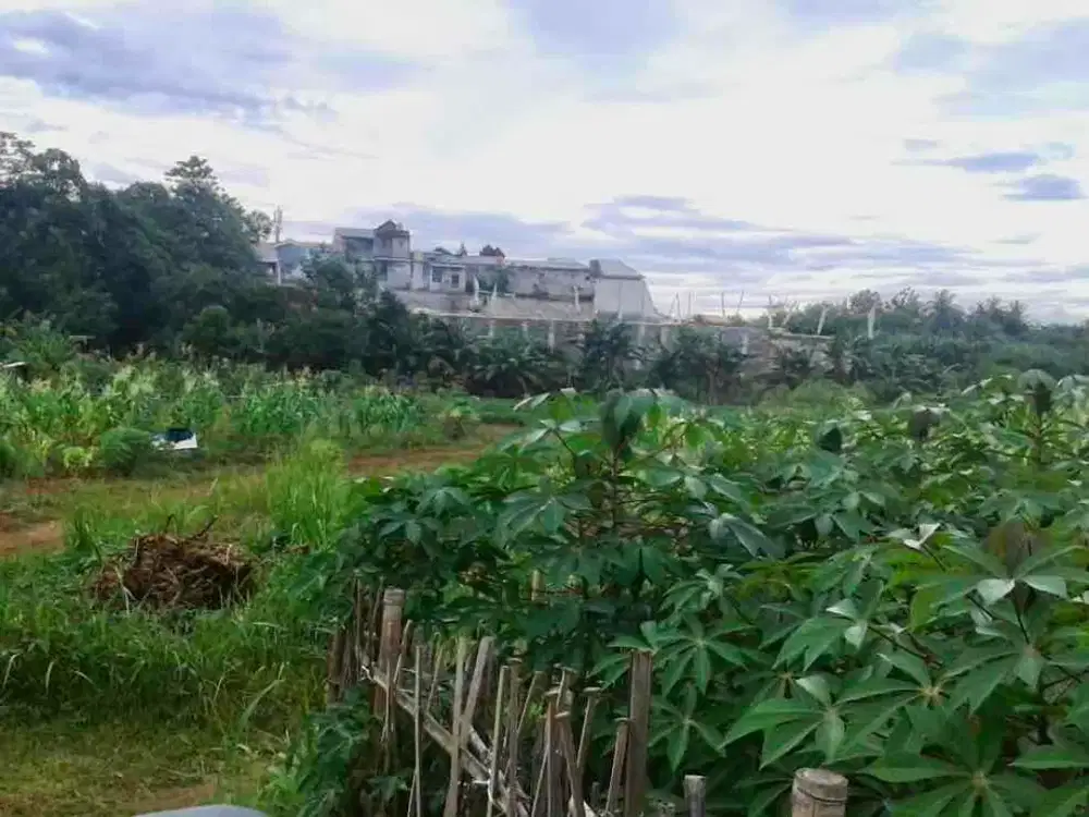 Dijual Tanah 10 Ha Depok Dekat Jl Abdul Wahab – Cocok untuk Pengembangan Perumahan