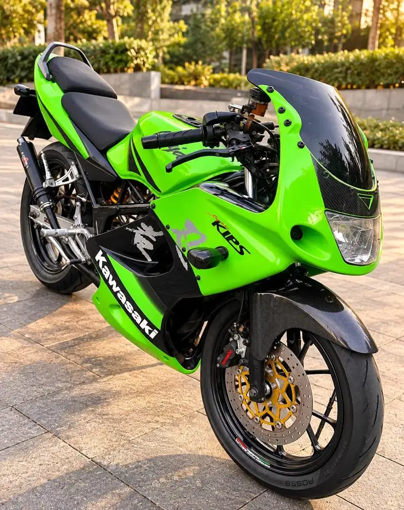 Kawasaki Ninja RR Gen 4