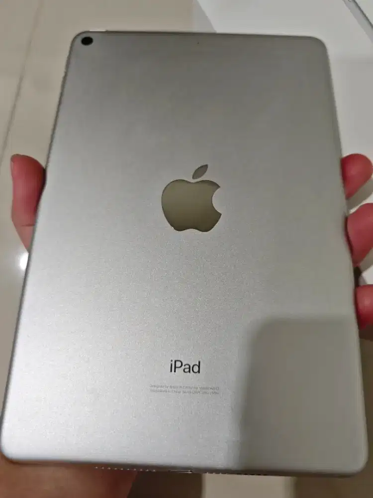 Ipad Mini 5 64GB ex Inter