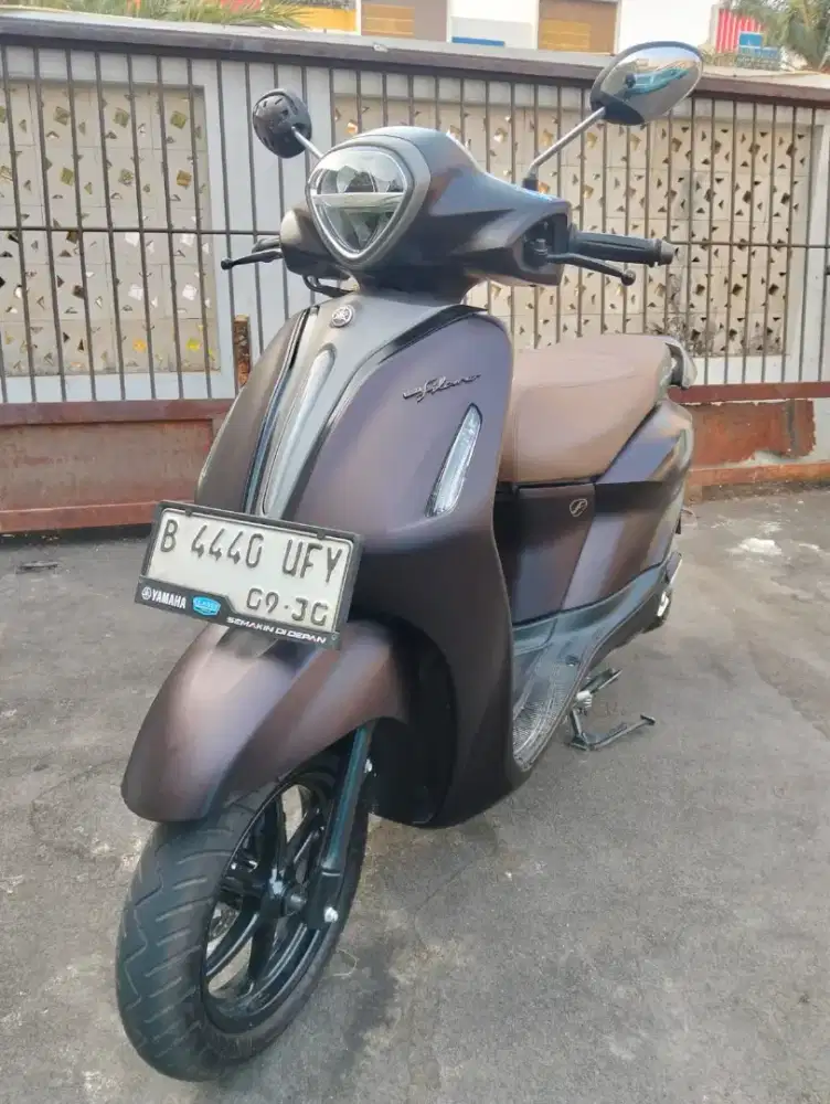 Grand filano lux 2025
