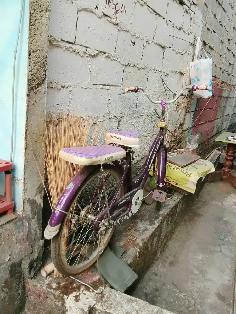 Siapa tau ada yg mau nampung