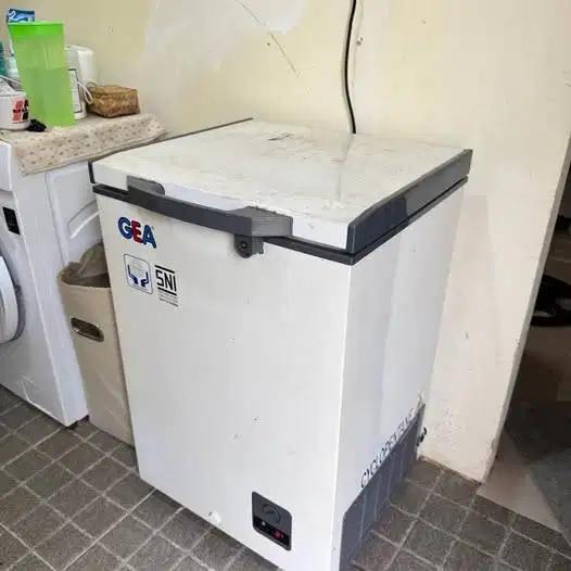 Freezer GEA 100L