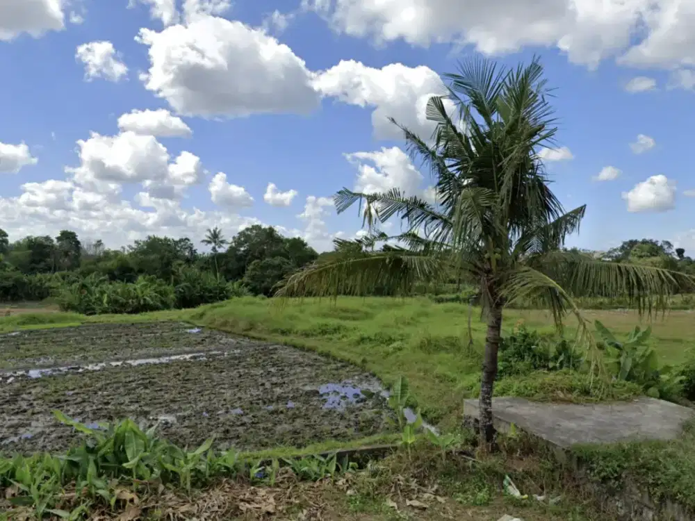 Land for sale in Kaba Kaba, Bali