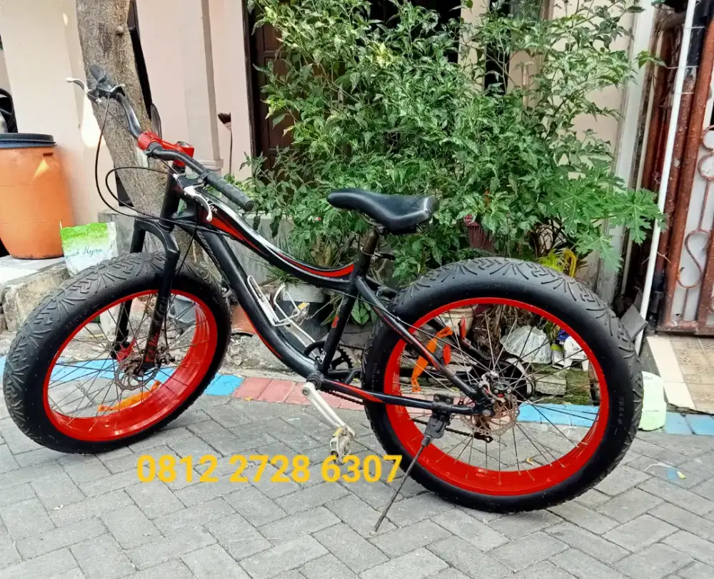 Sepeda wimcycle fatman ban besar