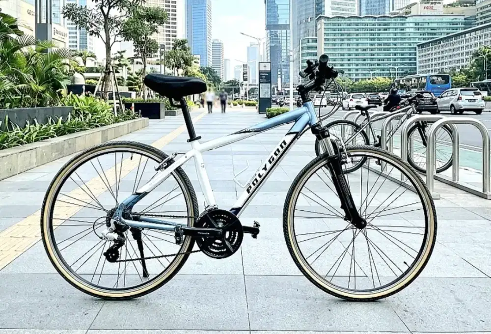 POLYGON HYBRID VINTAGE 700C