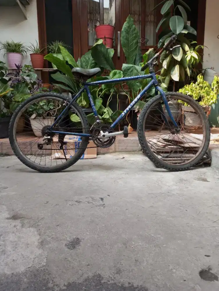 Sepeda gunung besar