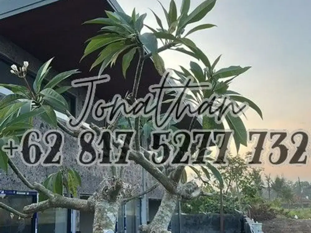 DIJUAL 2 VILLA BARU FREEHOLD DI PANDAK GEDE DEKAT NYANYI