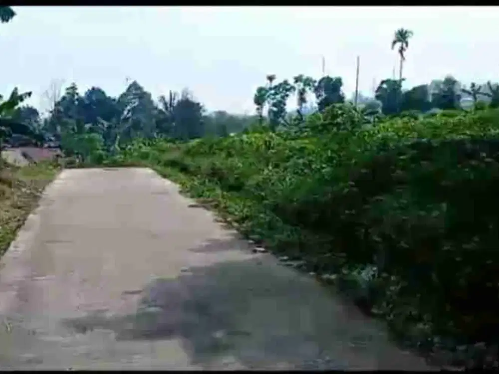 Jual Tanah subur Sejuk MDPL 650 view Gunung Di pamijahan bogor barat