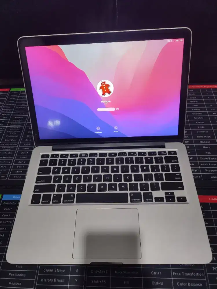 Macbook Pro Retina A1425 2015