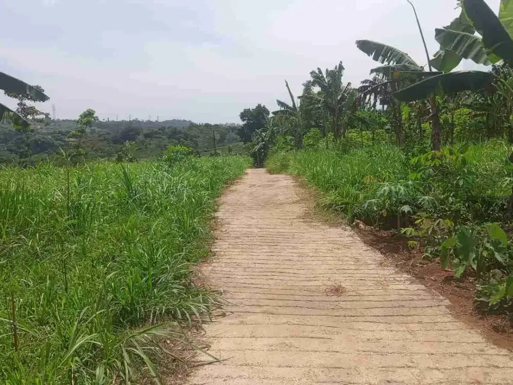 Tanah jual cepat di Ciambar sukabumi Dekat Dengan Pintu ke luar tol