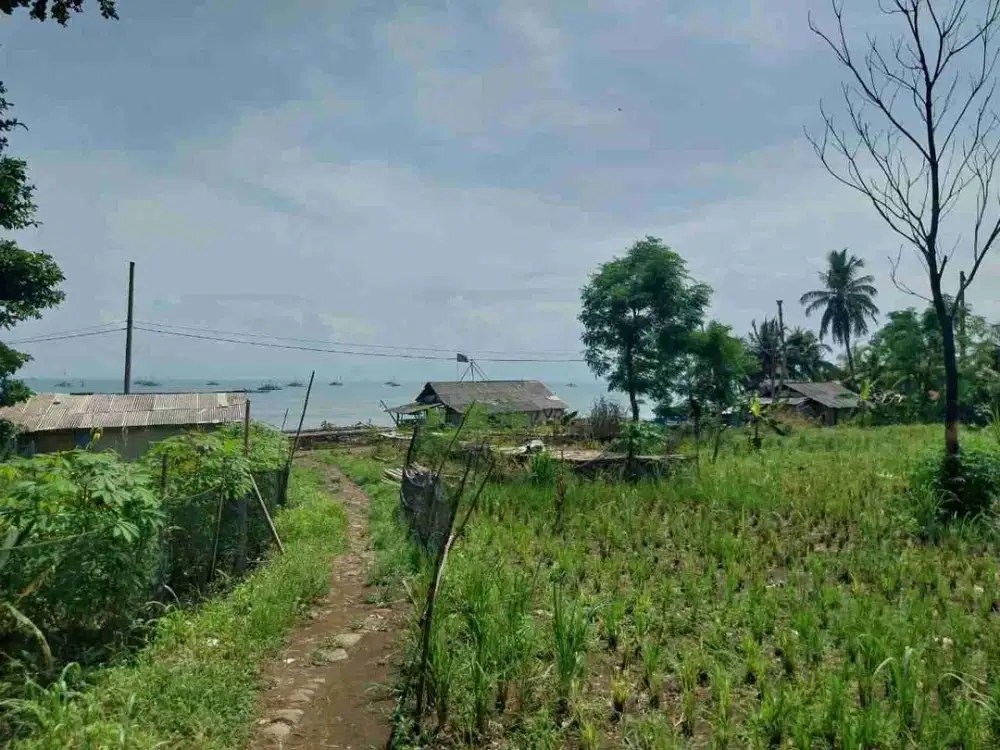 Jual Tanah nempel pantai pelabuan ratu sukabumi SHM hak milik