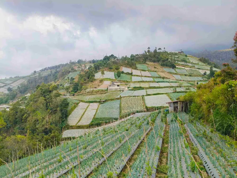 Tanah Untuk vila atau glamping Kemuning karanganyar