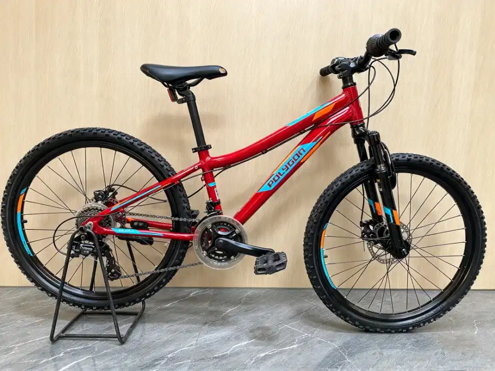 Sepeda gunung MTB polygon relic 24