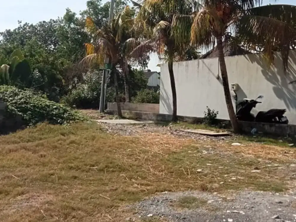 DIJUAL TANAH DAN VILLA 97 ARE JL BIDADARI