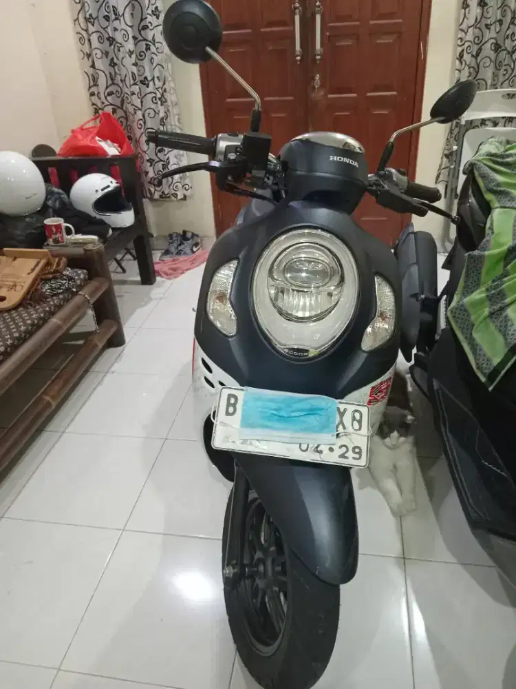 Honda Scoopy Fashion 2024