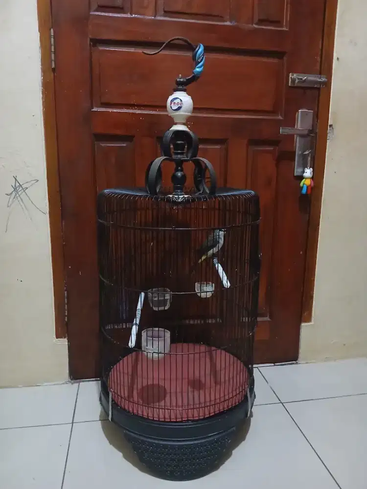 Dijual sangkar besi bulat diameter 40 cm