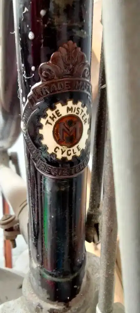 Sepeda kebo MISTER