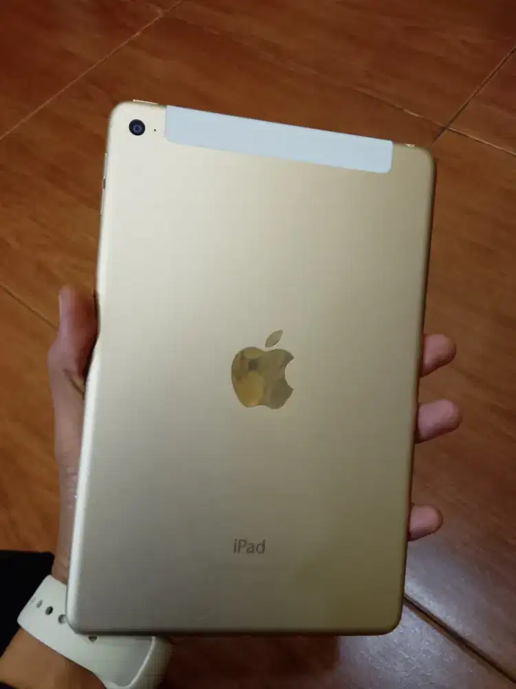 iPad mini 4 cellular 16gb