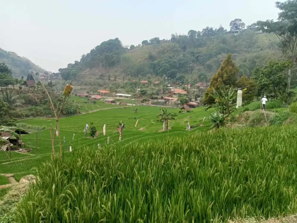 JUAL TANAH VIEW BAGUS LUAS 2500 SHM DI TRAWAS MOJOKERTO