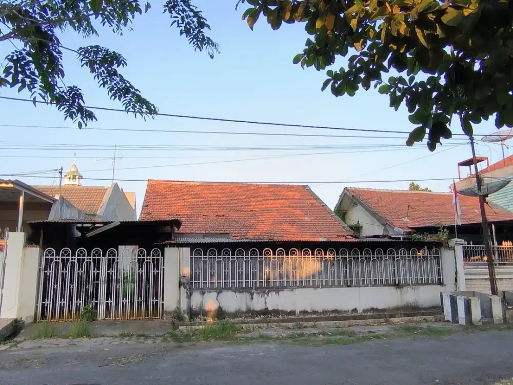 penjaringan sari
