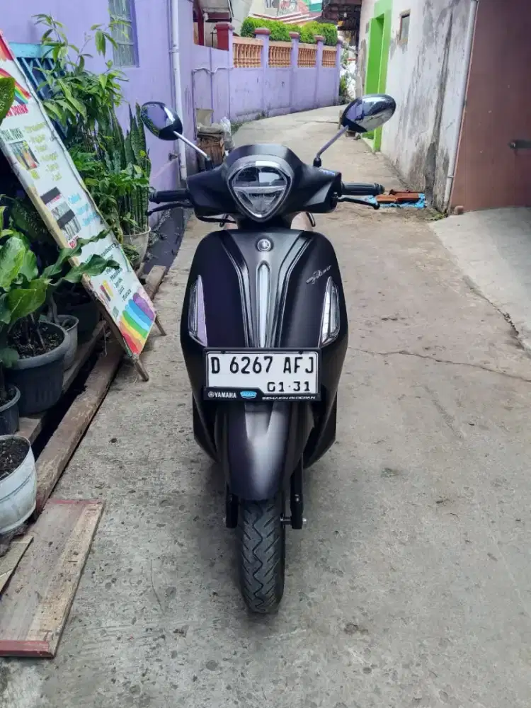 Yamaha grand fillano