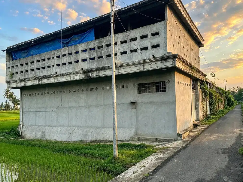 RUMAH TINGGAL PLUS USAHA AYAM PETELUR BOKOR TUMPANG MALANG