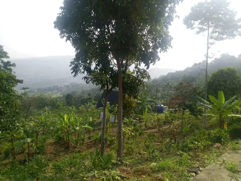 Dijual Tanah 2.000 m2 di Puncak 2, Sukamakmur, Bogor